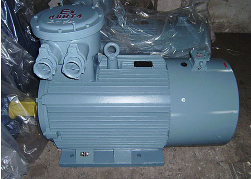 Y2VP、YB2VP變頻、防爆變頻電機(jī)
